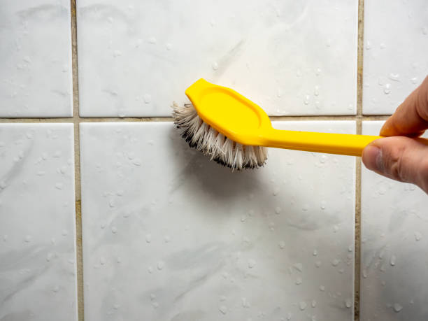 Best Residential Mold Removal  in Hamton, IL